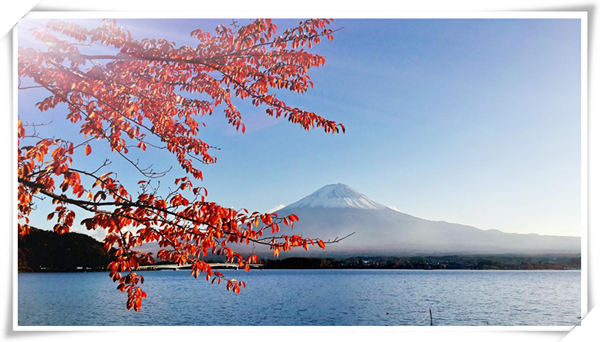 1620263348727285.jpg 3.jpg