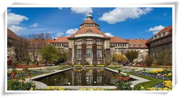 1626397218541844.jpg 3.jpg